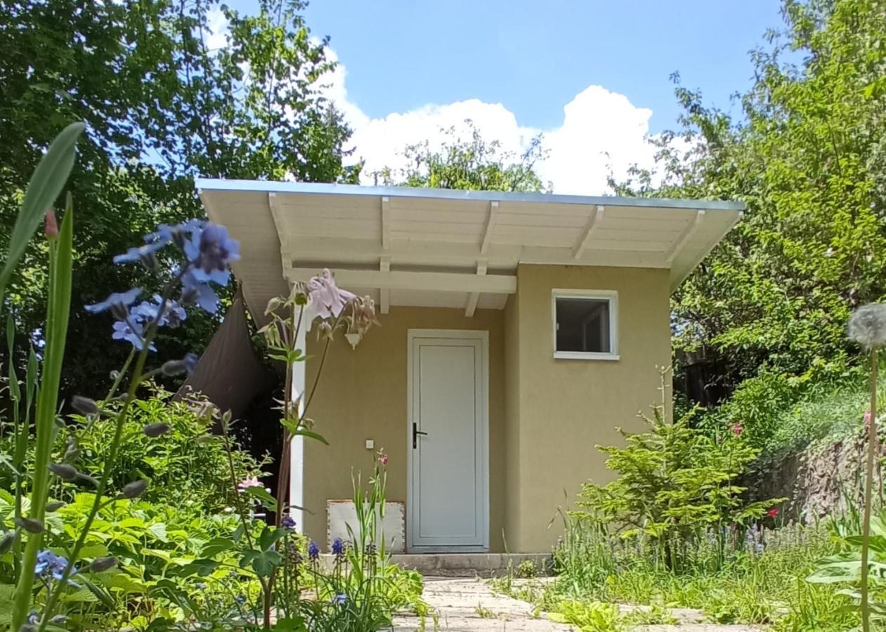 The Bungalow Brasov Exterior photo