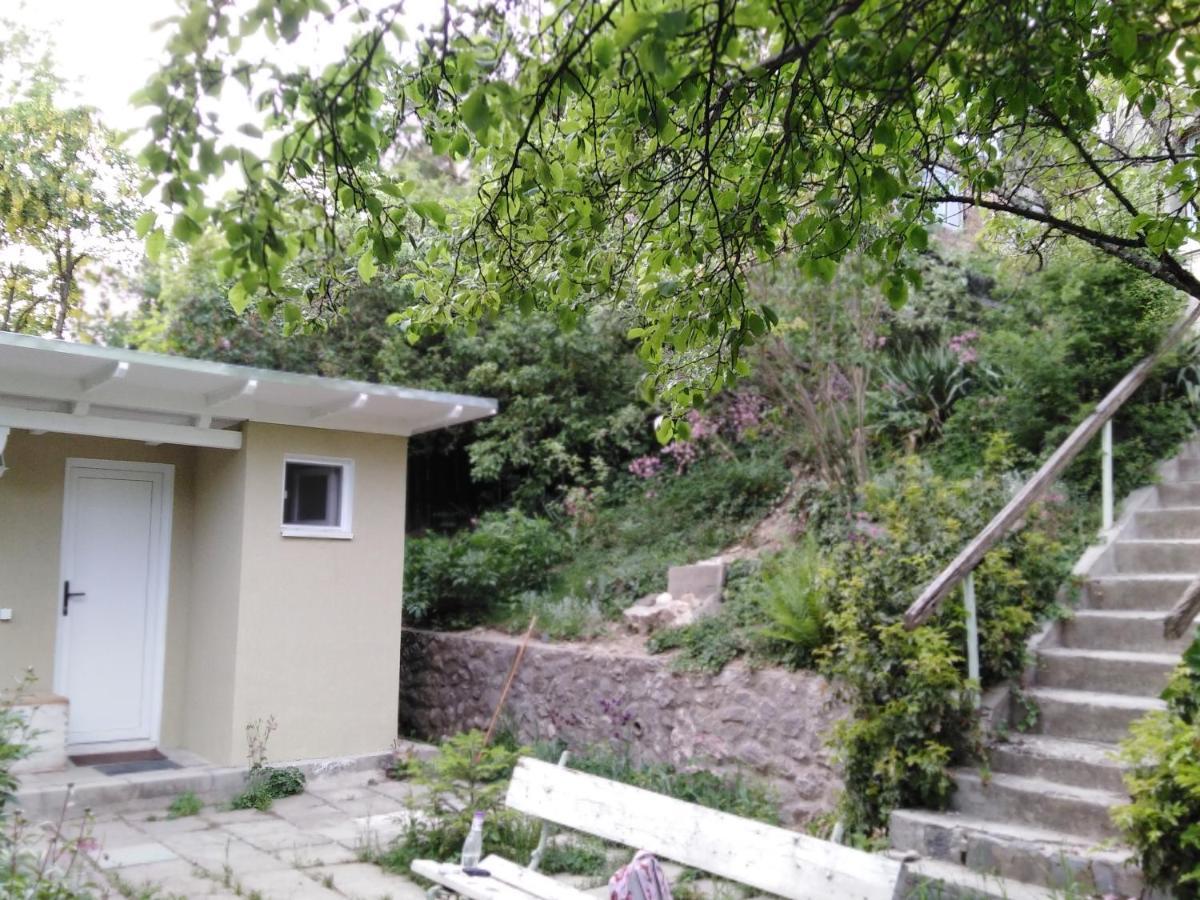 The Bungalow Brasov Exterior photo
